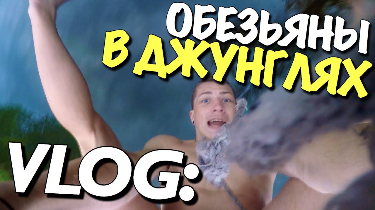 Тойота андрея мартыненко
