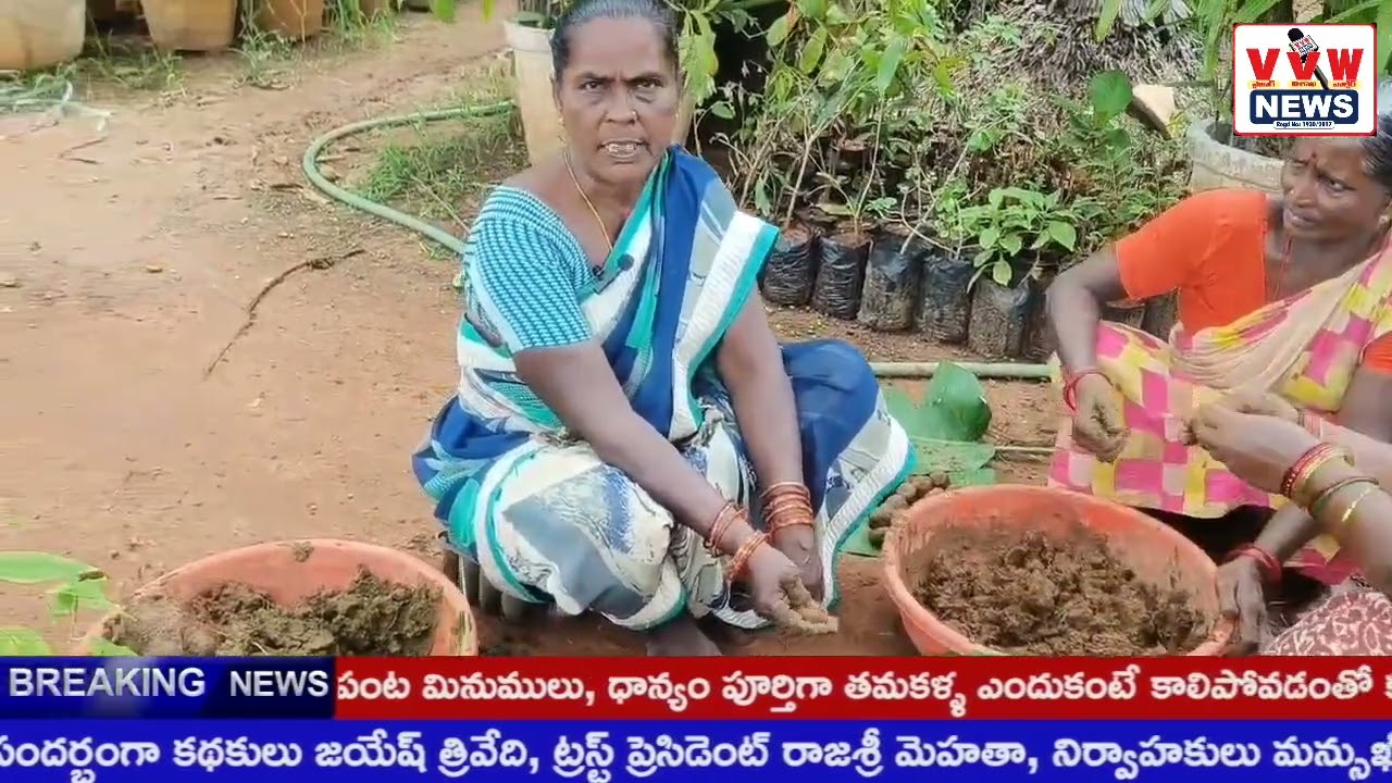 ప్రతి ఒక్కరూ విత్తనాల బంతులు తయారు చేయాలి #vvwnews