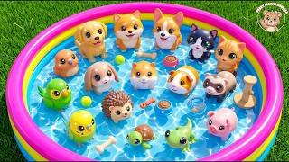 Pets For Toddlers: Dog, Cat & Bunny Adventure | Toddler Learning Video