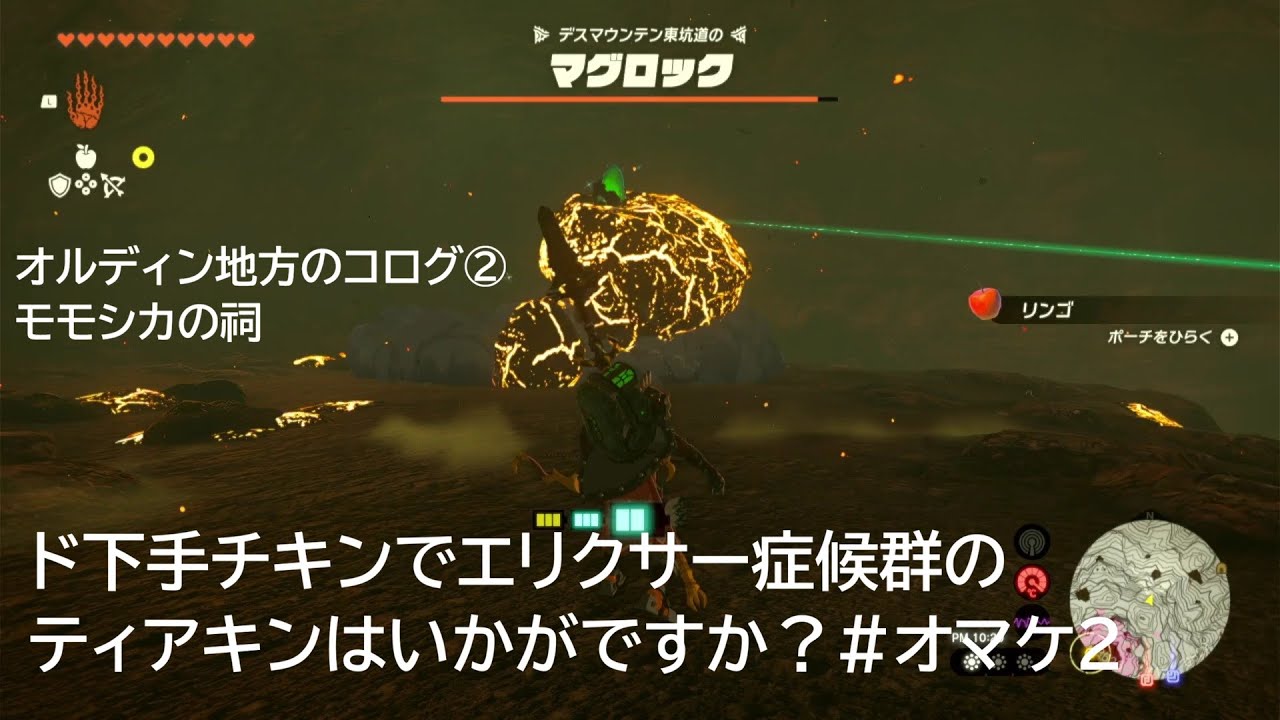 ド下手チキンでエリクサー症候群のティアキンはいかがですか？#オマケ2