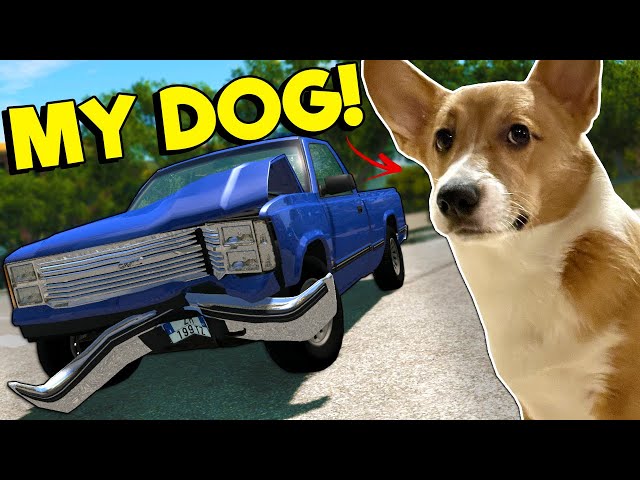 I Tried to Teach My Corgi How to Play BeamNG?! class=