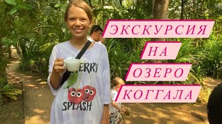 Озеро Коггала 