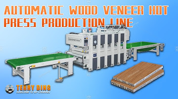 【Work Site】Automatic Wood Skin Veneer Hot Press Machine Production Line