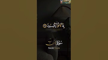 اليوم نختم على أفواههم وتكلمنا أيديهم وتشهد أرجلهم بما كانوا يكسبون  سورة يس يوسف الصقير مؤثر