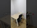 Project 001:  New Office Set Up At Damansara Area