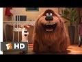The Secret Life of Pets - The Owners Return Scene (10/10) | Movieclips