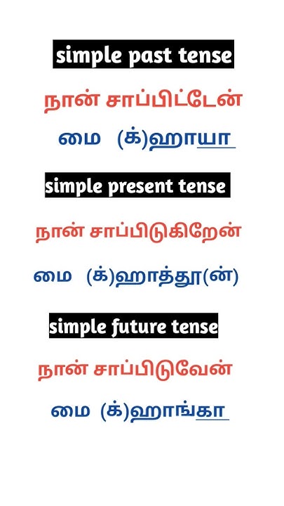 simple-tenses-with-gender-difference-in-urdu-spoken-urdu-through-tamil