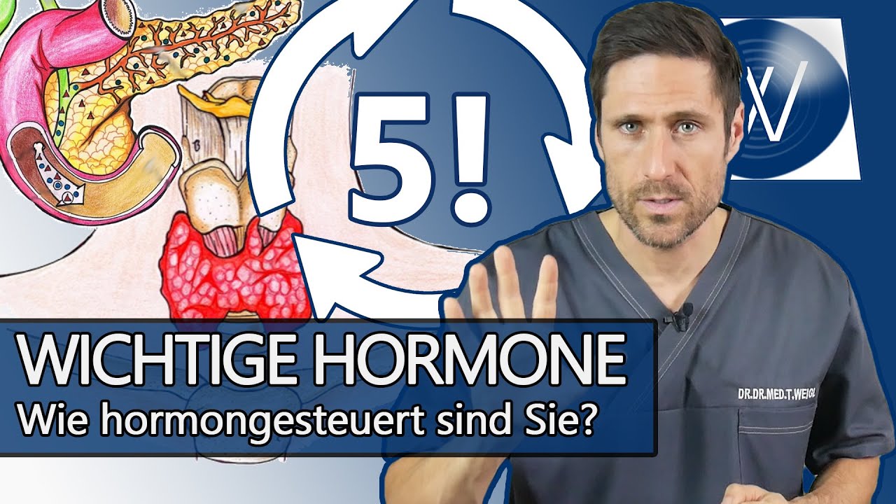 Das Hormonsystem - So steuern Hormone unser Verhalten und unsere Gefühle | Wissen ist gesund