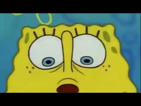 Spongebob Bs.To Spongebob Bs.To