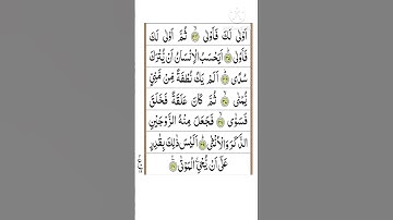 Surah Al Qiyamah Ayah 34-40//سورة القيامة ايه ٣٤-٤٠//Surah 75//Iqraquran
