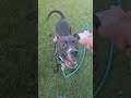 Meet timestamped Pattie! Acctphilly.org