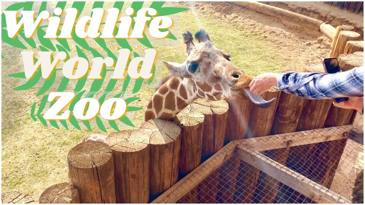 Wildlife World Zoo - YouTube