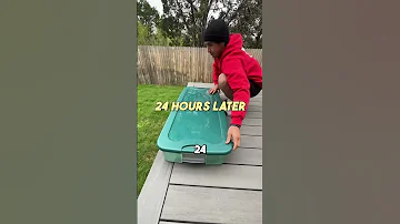 Putting My Skateboard In WATER For 24 HOUR Skateboardingisfun 