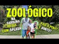 Zoológico na South Carolina |vale a pena ?Descobrimos um splash ?|RIVERBANKS ZOO BOTANIAL GARDENS