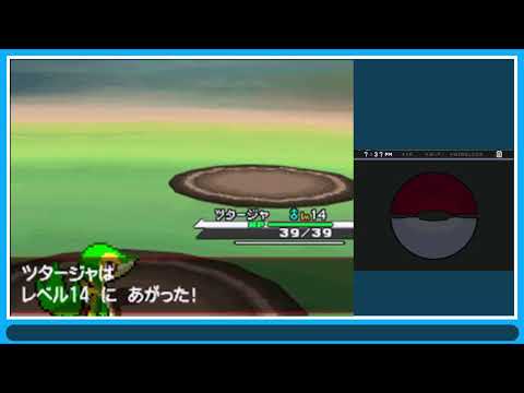 【ポケモンシリーズツアー】ホワイト御三家奪取編＃143