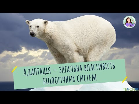 Адаптація як загальна властивість біологічних систем