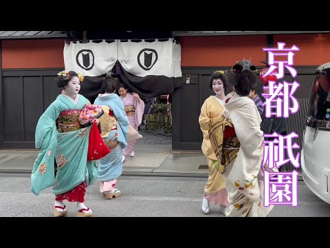 4K】京都祇園 花見小路を往く舞妓さんたち Maiko and Geisha in