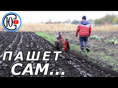 Мотоблок ПАШЕТ САМ...я только иду рядом!