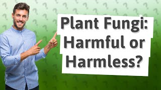 Is plant fungus harmful to humans?
