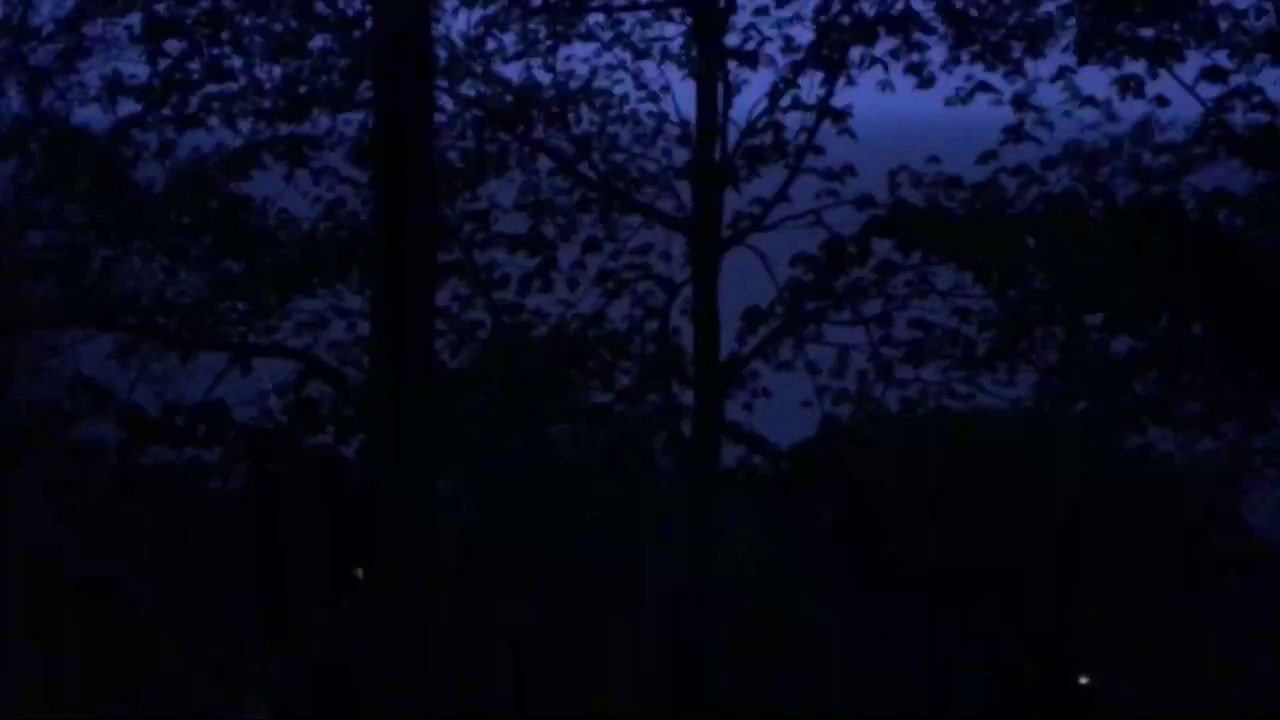 LOUD Early Morning Thunderstorm In New Jersey! YouTube