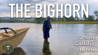 Fishing the Bighorn River - A Crazy Caddis Hatch