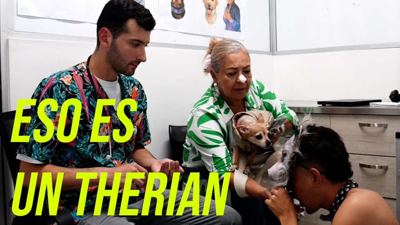 Veterinario Irresponsable