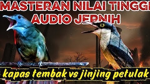 ROL TEMBAK SADISSS | Kapas tembak vs jinjing petulak