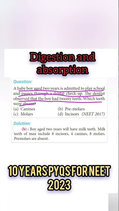 Digestion And Absorption Neet Previous Year Questions Neet previous year question for digestion & absorption - YouTube