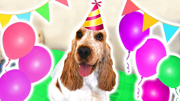 Come organizzare la prima festa di compleanno?