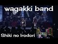 Reaction - Wagakki Band - MOON SHINE / HALL TOUR 2017 四季ノ彩 -Shiki no Irodori | Angie &amp; Rollen