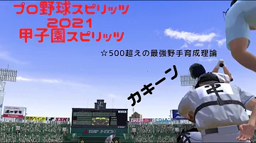 プロスピ21甲子園スピリッツ 投手
