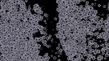 Interactive Particles