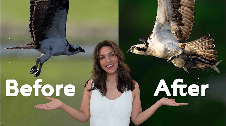 6 Secrets for AMAZING Wildlife photos (without spending money) thumbnail