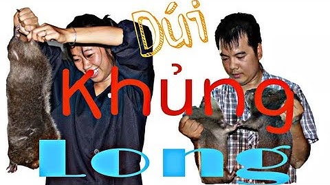 Dúi trung quốc | Dúi mốc đại | Dúi giống thuần chủng | Tìm hiểu về Dúi Mốc Đại | Chuột tre 360