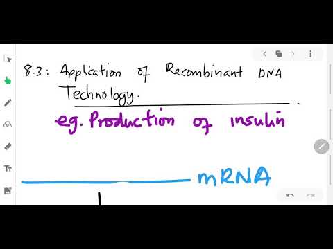 Видео: MRNA хэрхэн cDNA болж хувирдаг вэ?