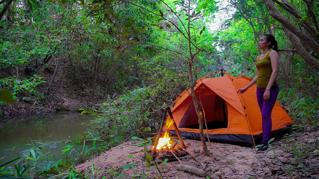 Bushcraft Skills Solo Overnight in Forest Survival Summer Camping