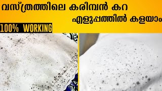 Remove Karimban From Clothes Easily Tips And Tricks Cleaning Tips Malayalam