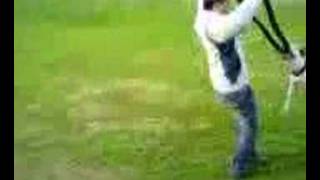 Bull Terrier Kira As Voltas