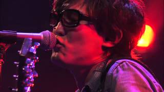 スガ シカオ／Festival (Live at Zepp DiverCity TOKYO 2012.11