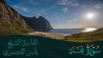 سورة محمد | الشيخ ياسر الدوسري