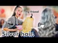 Bleaching & Dyeing my friend's hair SILVER