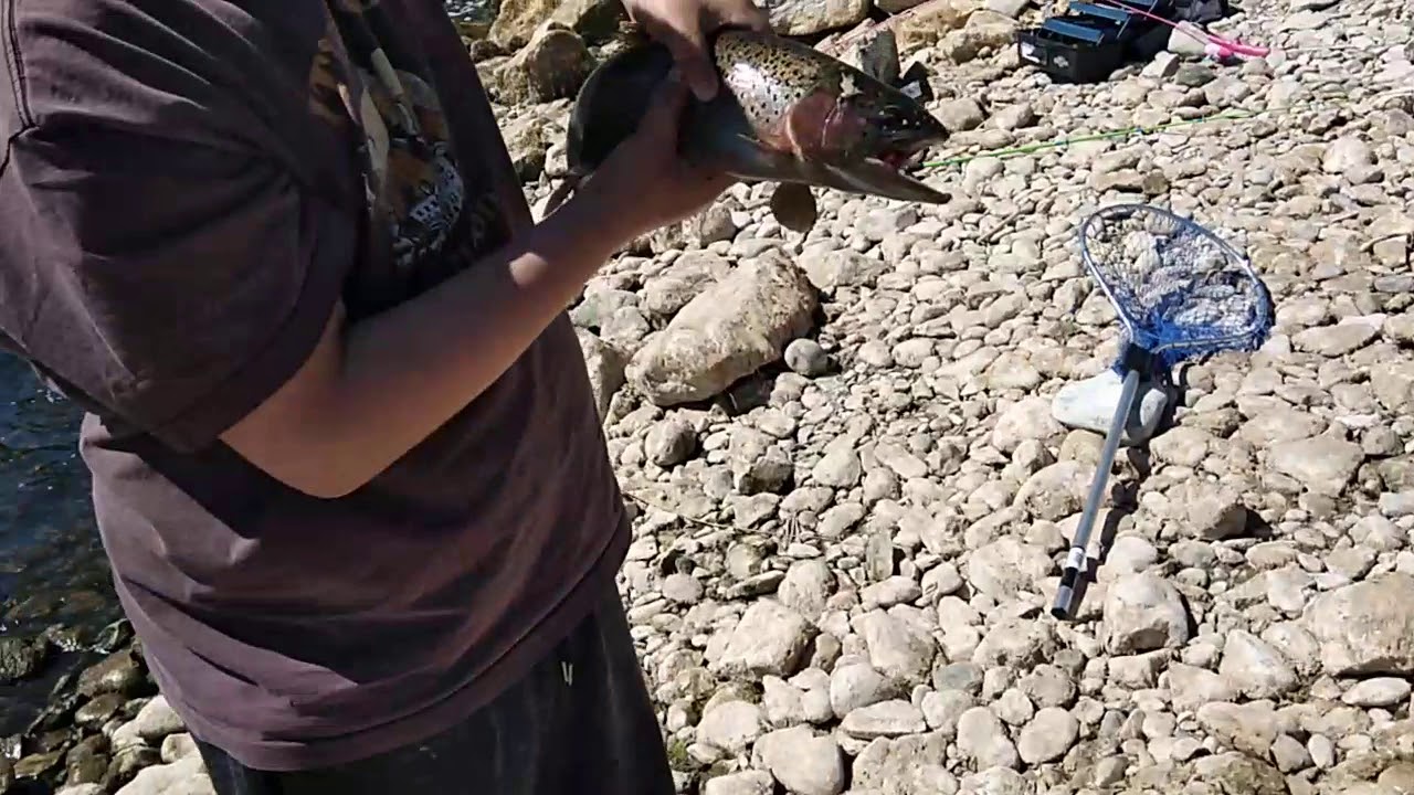 My 19inch fish - YouTube