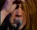 Soul Asylum "Runaway Train" (Live)