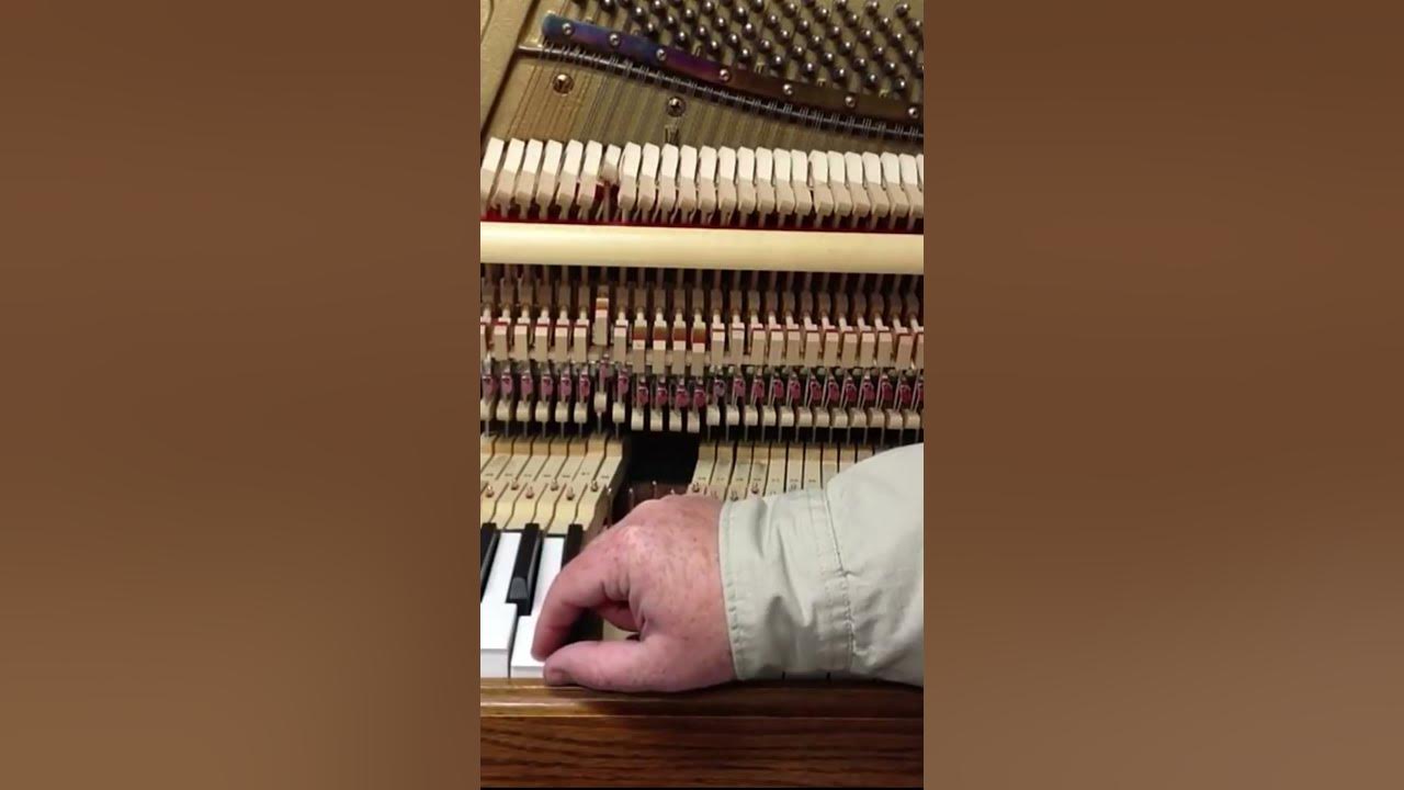 How to Fix a Sticking Piano Key (Part 3 Problems in Pianos) HOWARD PIANO INDUSTRIES