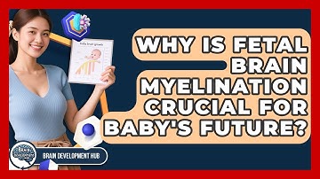 Why Is Fetal Brain Myelination Crucial For Baby