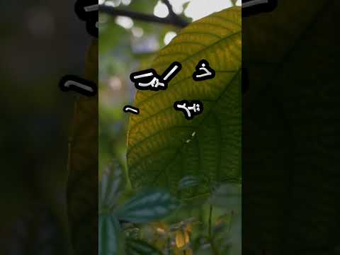 هو خير عباد الله