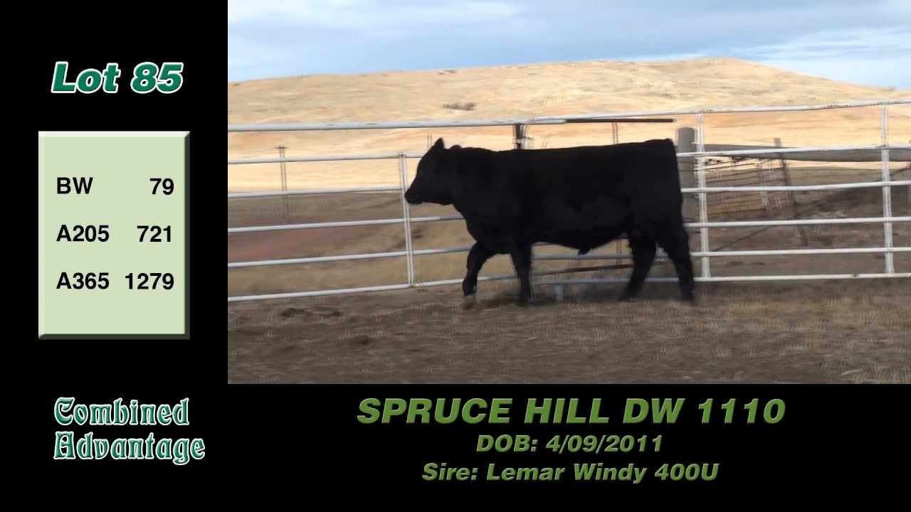 Lot 85: SPRUCE HILL DW 1110