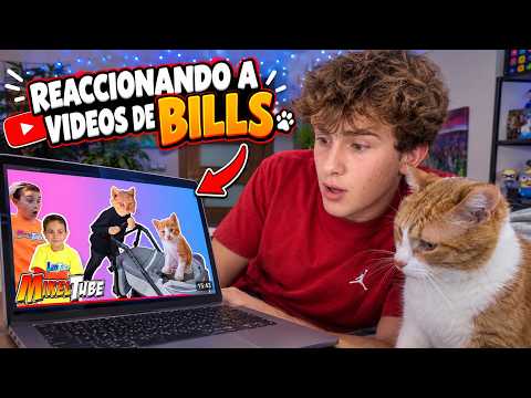 Mi Gato Reacciona A Sus Videos Antiguos