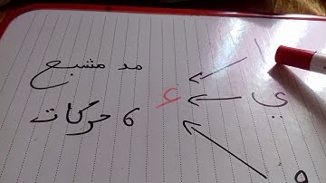 🌷 قراءة سورة الكافرون مع شرح حكم المد الوارد فيها 🌷