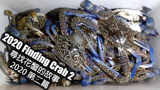 尋找花蟹的故事 2020 第二篇 之成海都係藍花蟹 Catching Crab Night Dive 2 尋找花蟹的故事 2020 第二篇 之成海都係藍花蟹 Catching Crab Night Dive 2
